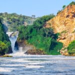 Which Uganda safari parks are most popular