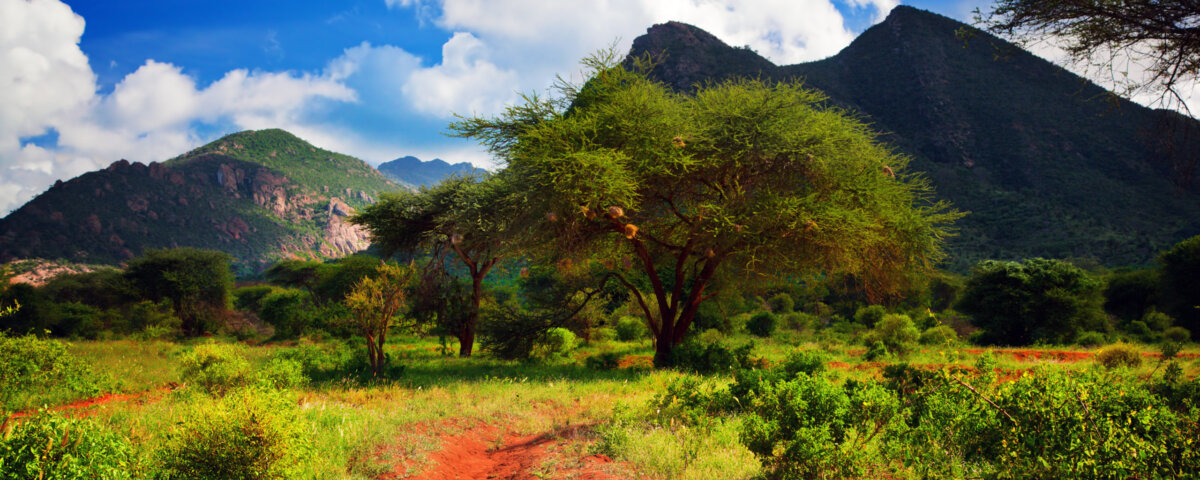 Which is better Tsavo East or Tsavo West?