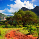 Which is better Tsavo East or Tsavo West?