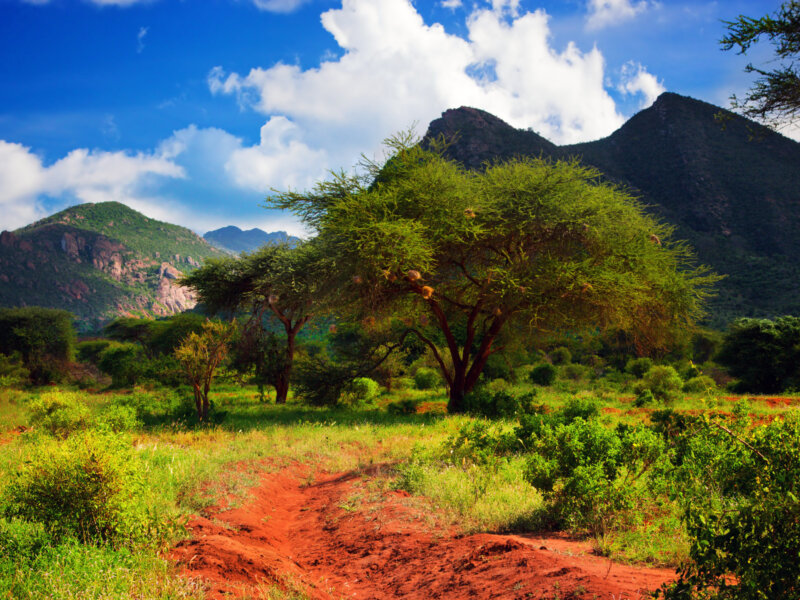 Which is better Tsavo East or Tsavo West?