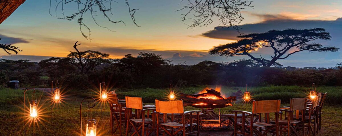 Tanzania Bush Dinner Safari Packages