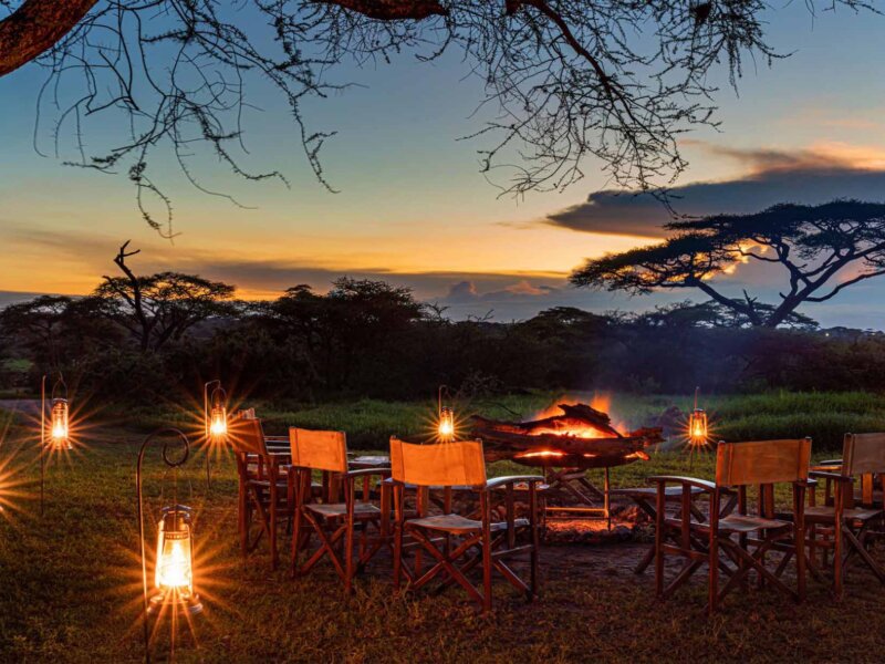 Tanzania Bush Dinner Safari Packages