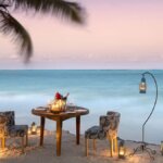 Tanzania Safari and Spice Tours Zanzibar