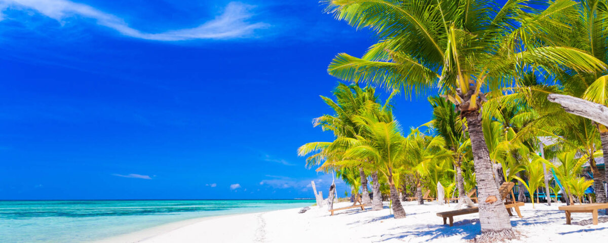 Tanzania Marine Safari Tours