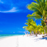 Tanzania Marine Safari Tours
