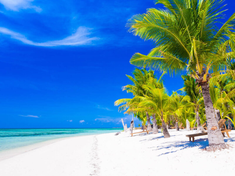 Tanzania Marine Safari Tours