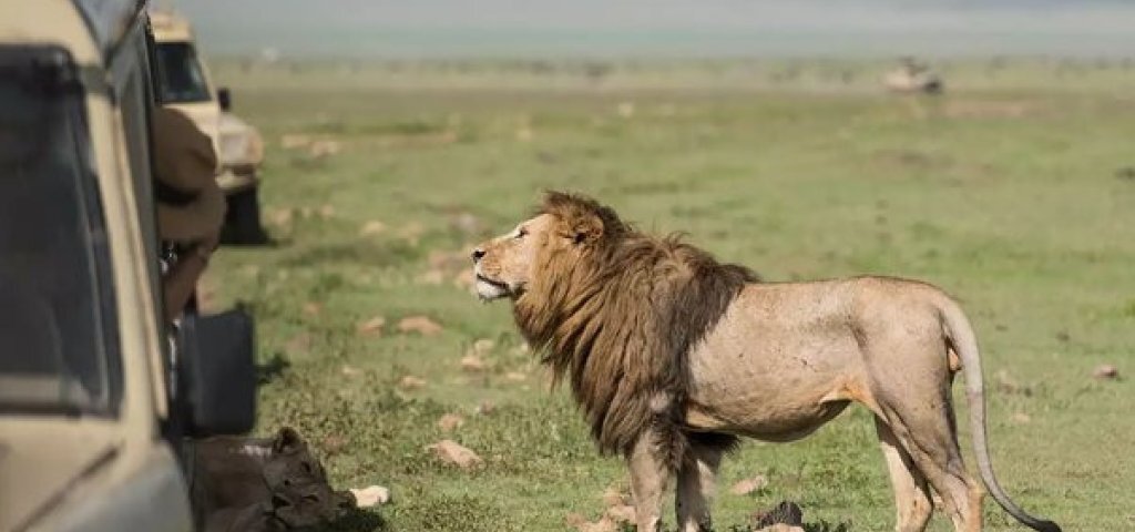 April Tanzania Safari Adventures