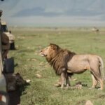 April Tanzania Safari Adventures