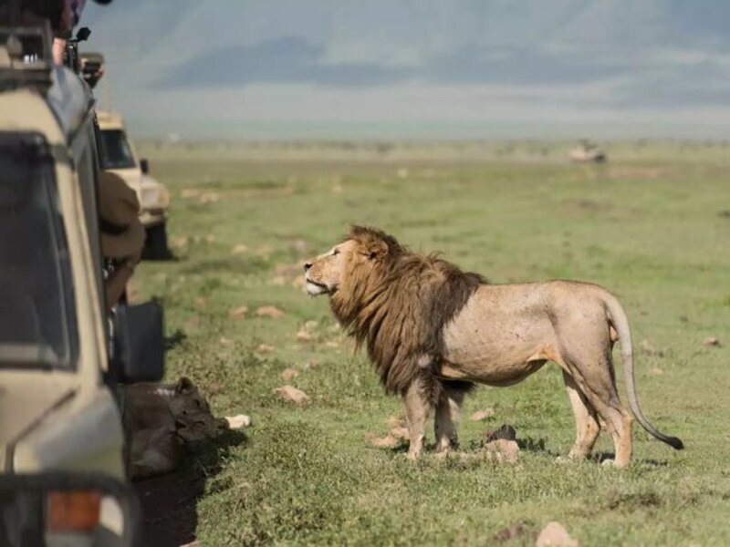 April Tanzania Safari Adventures