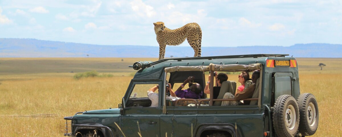 Tanzania Safari for Wildlife Lovers