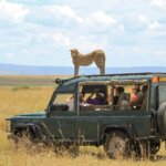 Tanzania Safari for Wildlife Lovers