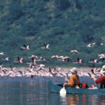 Tanzania Safari with Canoeing