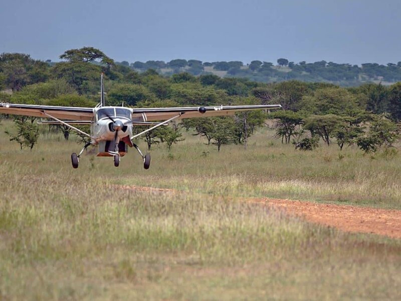 Tanzania Safari Charter Flights