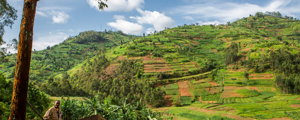 Rwanda and Tanzania Safari Holidays