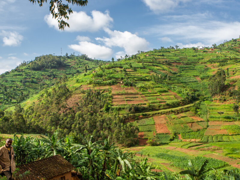 Rwanda and Tanzania Safari Holidays
