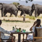 Tanzania Safari for Romantic Getaways