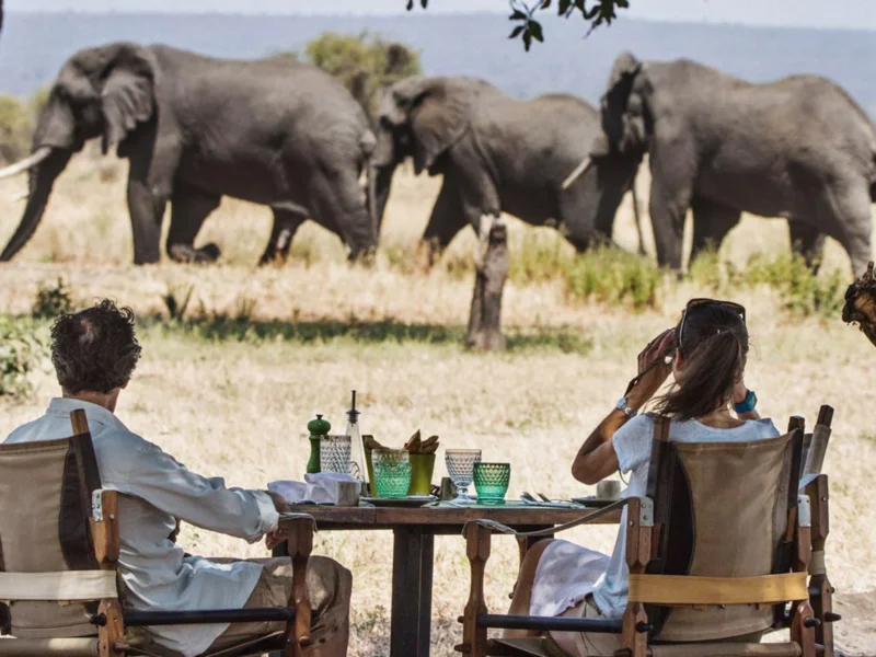 Tanzania Safari for Romantic Getaways