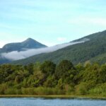 Gombe Tours – Discover Gombe Stream National Park Adventures