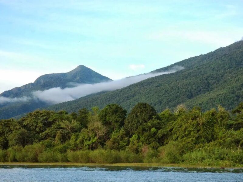 Gombe Tours – Discover Gombe Stream National Park Adventures