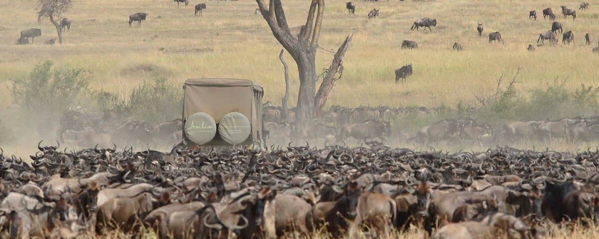 Tanzania Great Migration Safaris