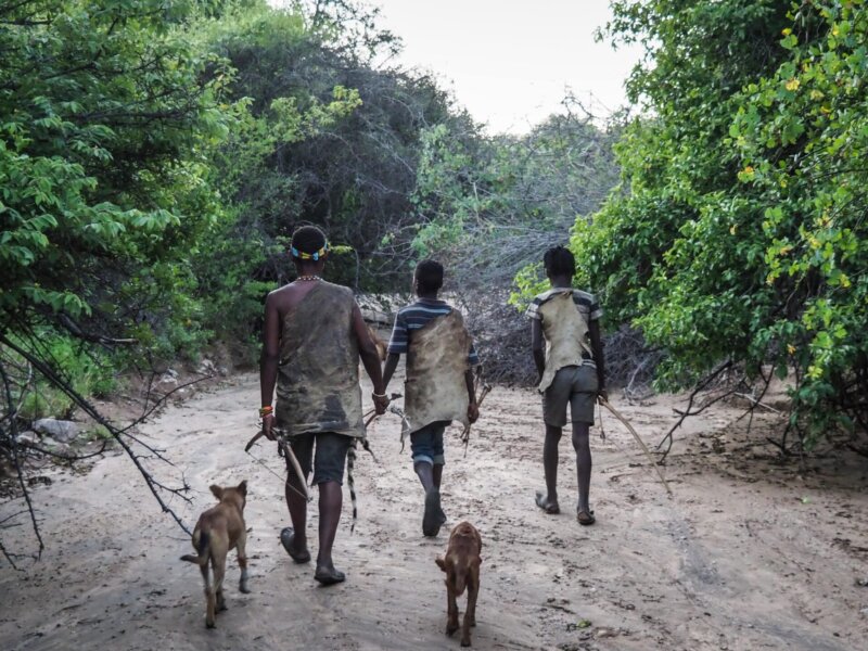 Hadzabe Tribe Cultural Tours