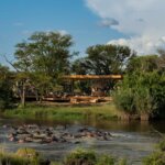 Tanzania River Safari Tours