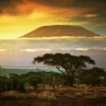 17 Days Tanzania Safari Adventures