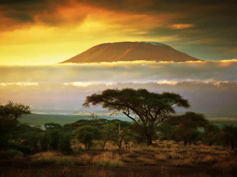17 Days Tanzania Safari Adventures