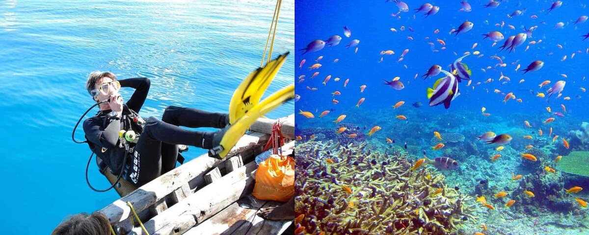 Tanzania Diving and Safari Tours