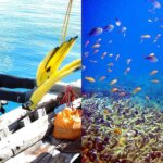 Tanzania Diving and Safari Tours
