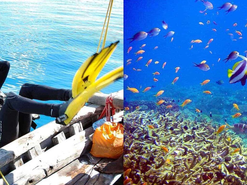 Tanzania Diving and Safari Tours