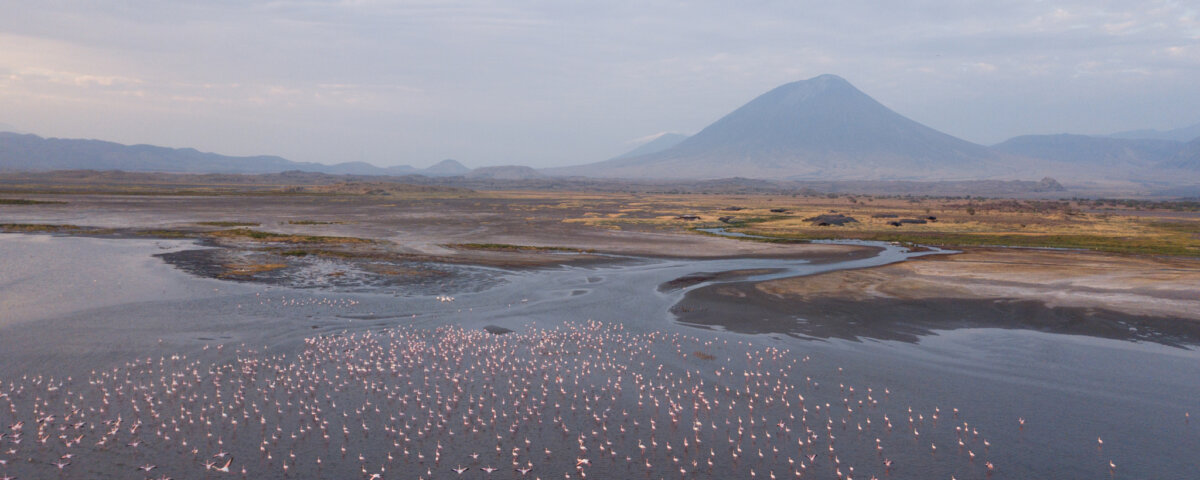 Tanzania Safari around Lake Natron