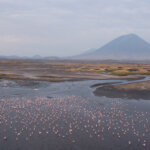 Tanzania Safari around Lake Natron