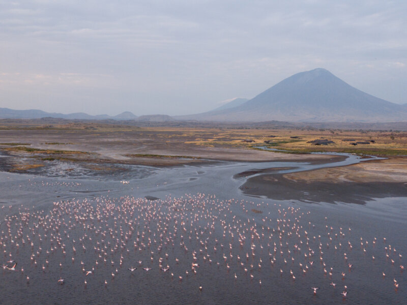 Tanzania Safari around Lake Natron