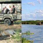 Southern Circuit Tanzania Safaris – Remote and Untouched Wildlife Safari Experience