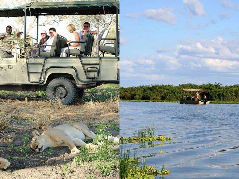 Southern Circuit Tanzania Safaris – Remote and Untouched Wildlife Safari Experience