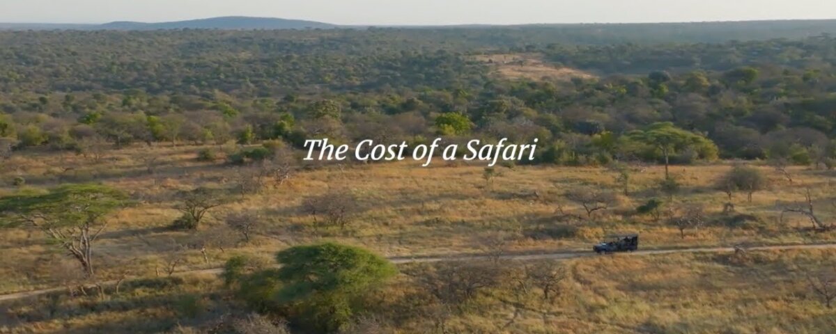 Tanzania Safari Costs and Budget Guide