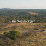 Tanzania Safari Costs and Budget Guide