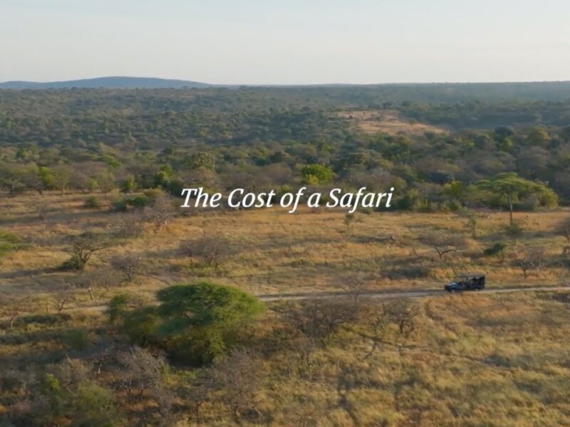 Tanzania Safari Costs and Budget Guide