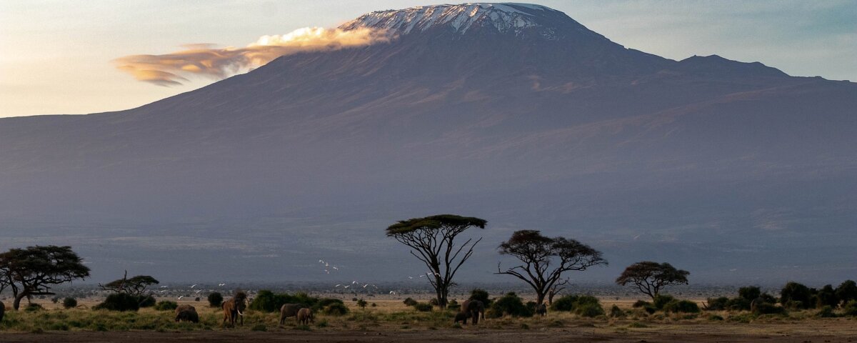 Tanzania Safari with Volcano Tours
