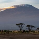 Tanzania Safari with Volcano Tours