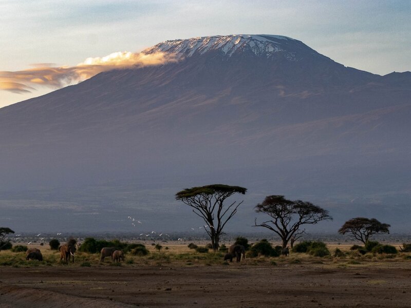 Tanzania Safari with Volcano Tours