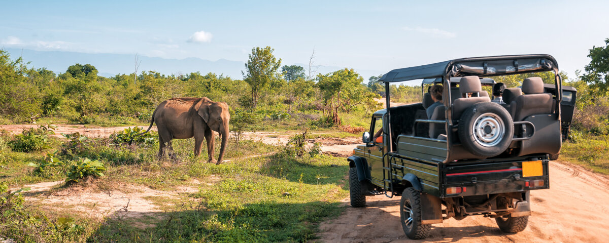 Tanzania Safari for Researchers