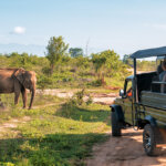 Tanzania Safari for Researchers