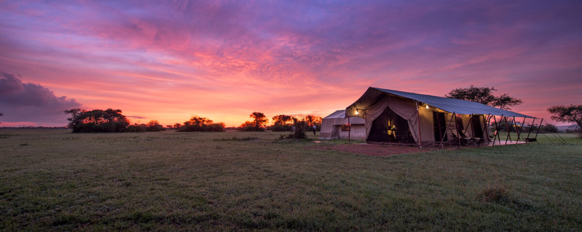 Tanzania Tented Camp Safaris