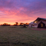 Tanzania Tented Camp Safaris