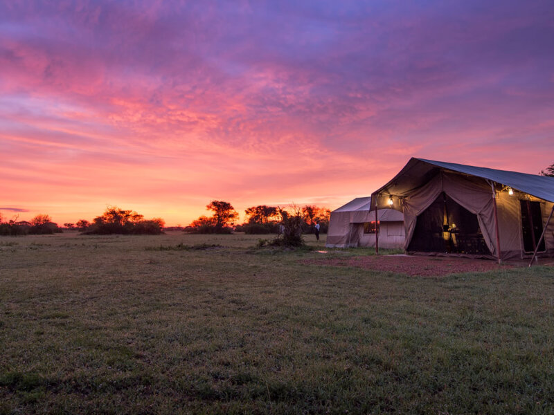 Tanzania Tented Camp Safaris