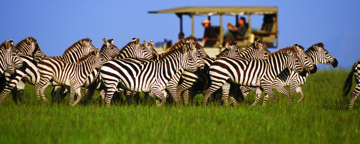 Tanzania Educational Safari Tours