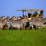 Tanzania Educational Safari Tours