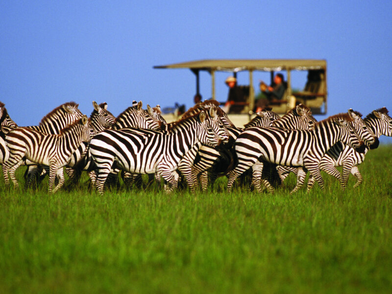 Tanzania Educational Safari Tours